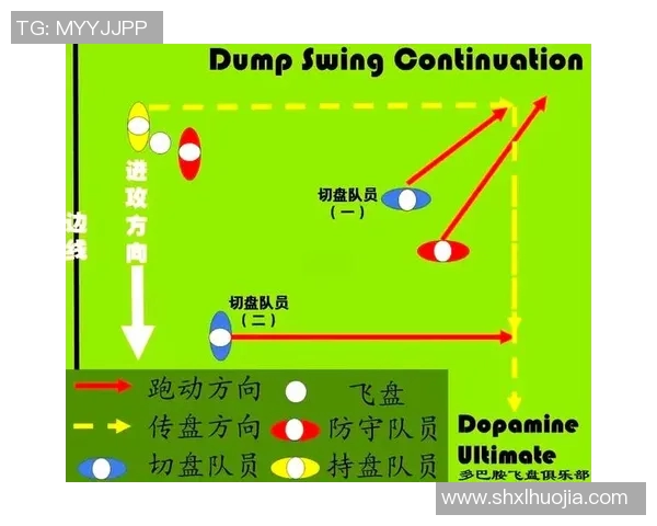 赛后分析：上海飞盘队与西安飞盘队的精彩对决与战术节奏探讨